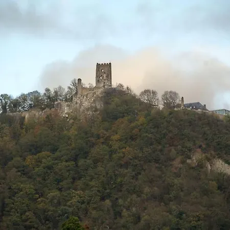 Wohlfuehlwohnung Naehe Des Rheins *