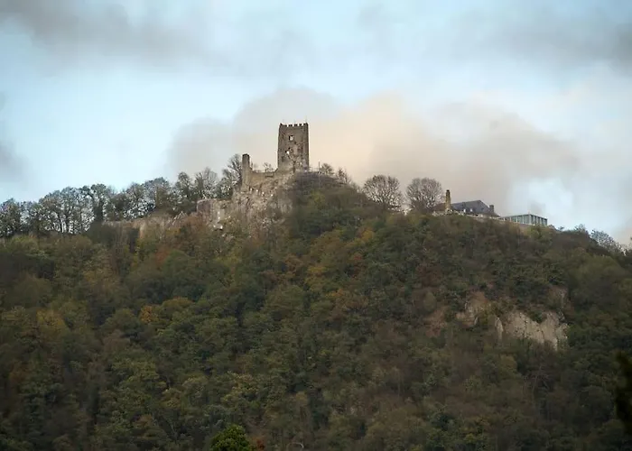 Wohlfuehlwohnung Naehe Des Rheins *